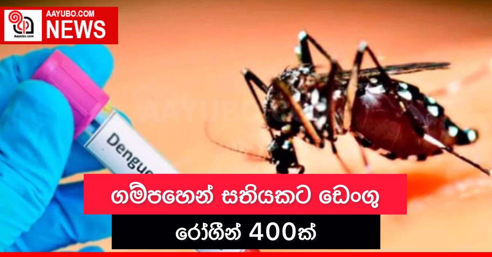 ගම්පහෙන් සතියකට ඩෙංගු රෝගීන් 400ක්