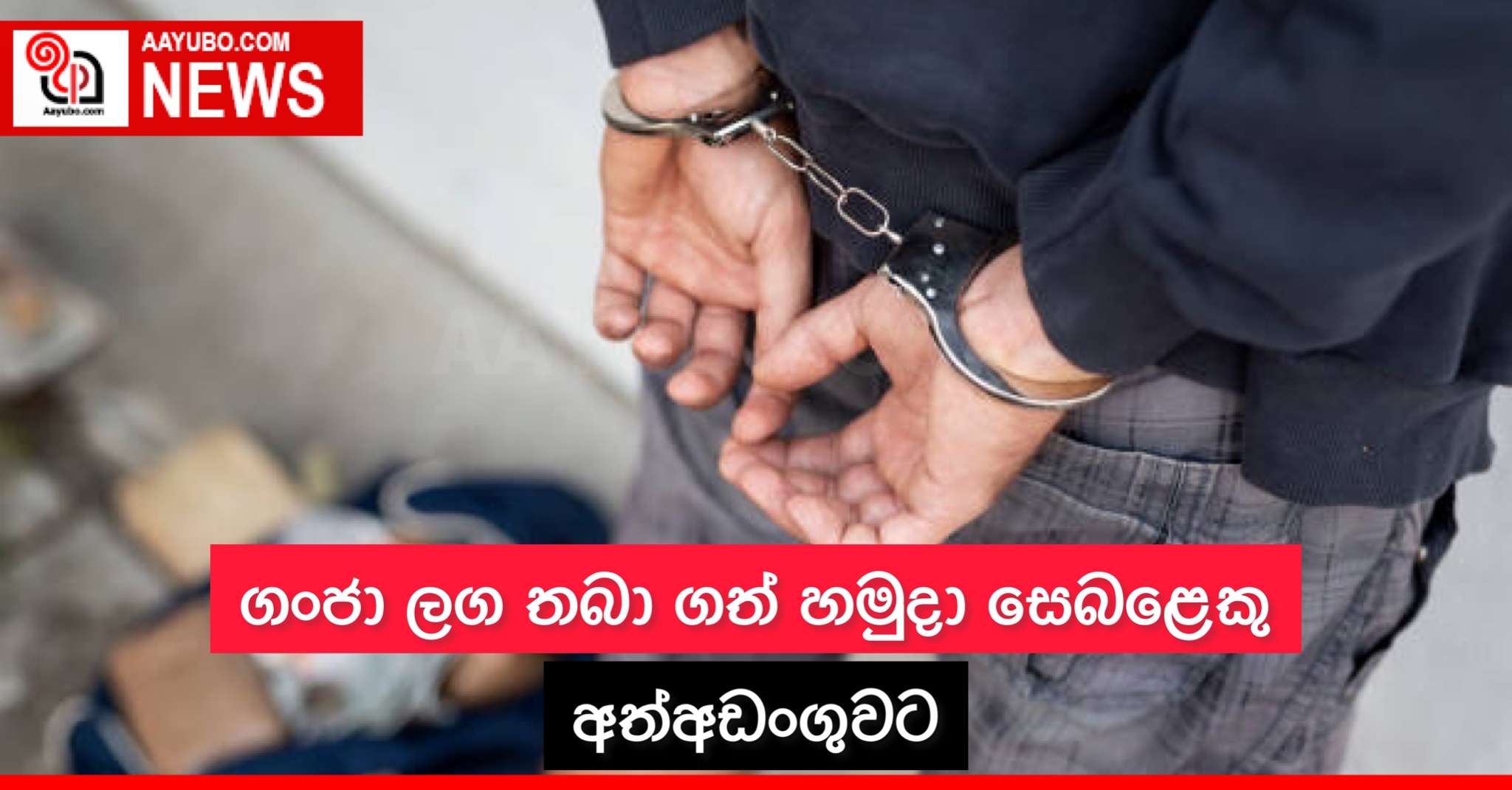 ගංජා ලග තබා ගත් හමුදා සෙබළෙකු අත්අඩංගුවට