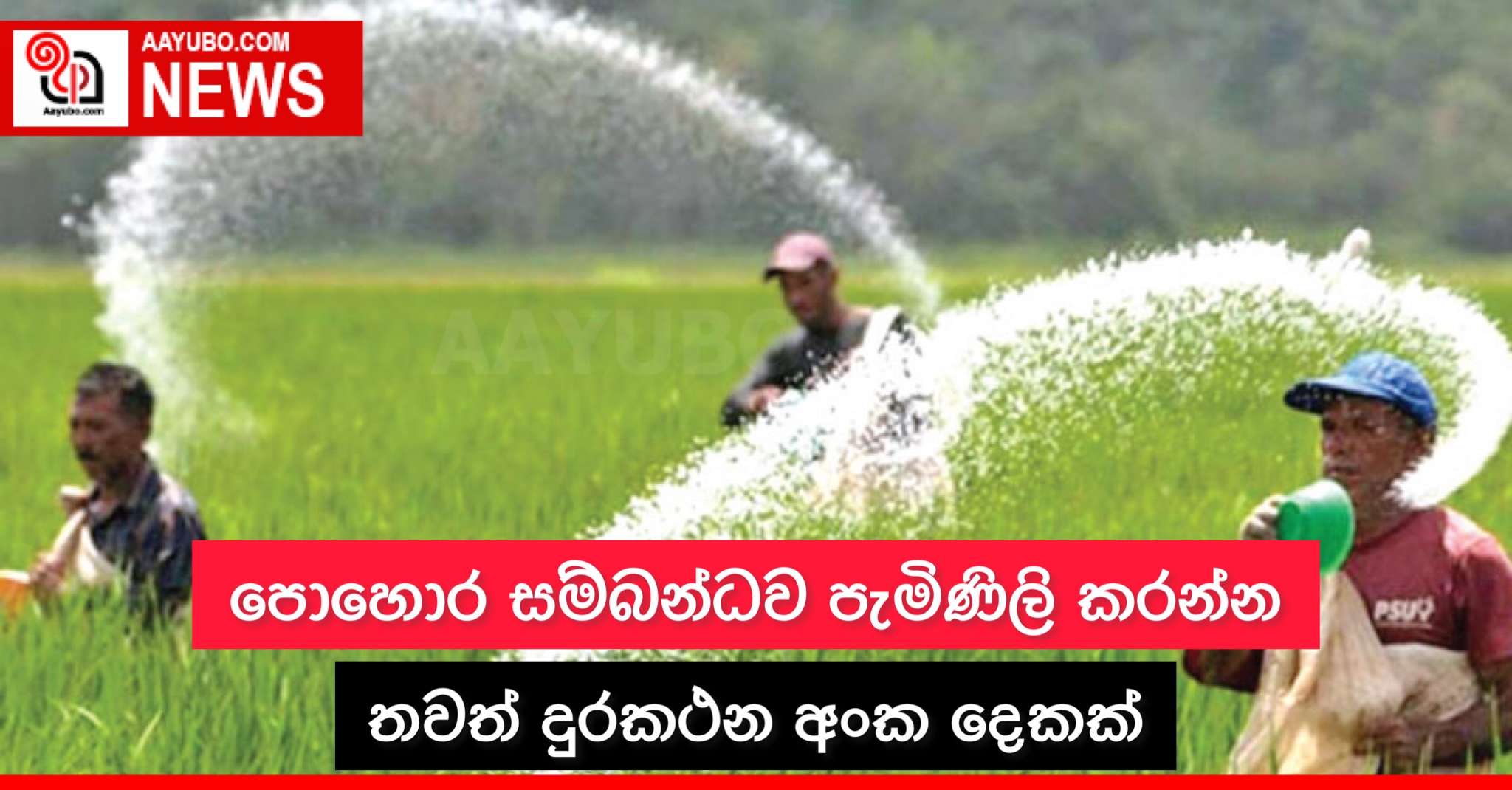 පොහොර සම්බන්ධව පැමිණිලි කරන්න තවත් දුරකථන අංක දෙකක්