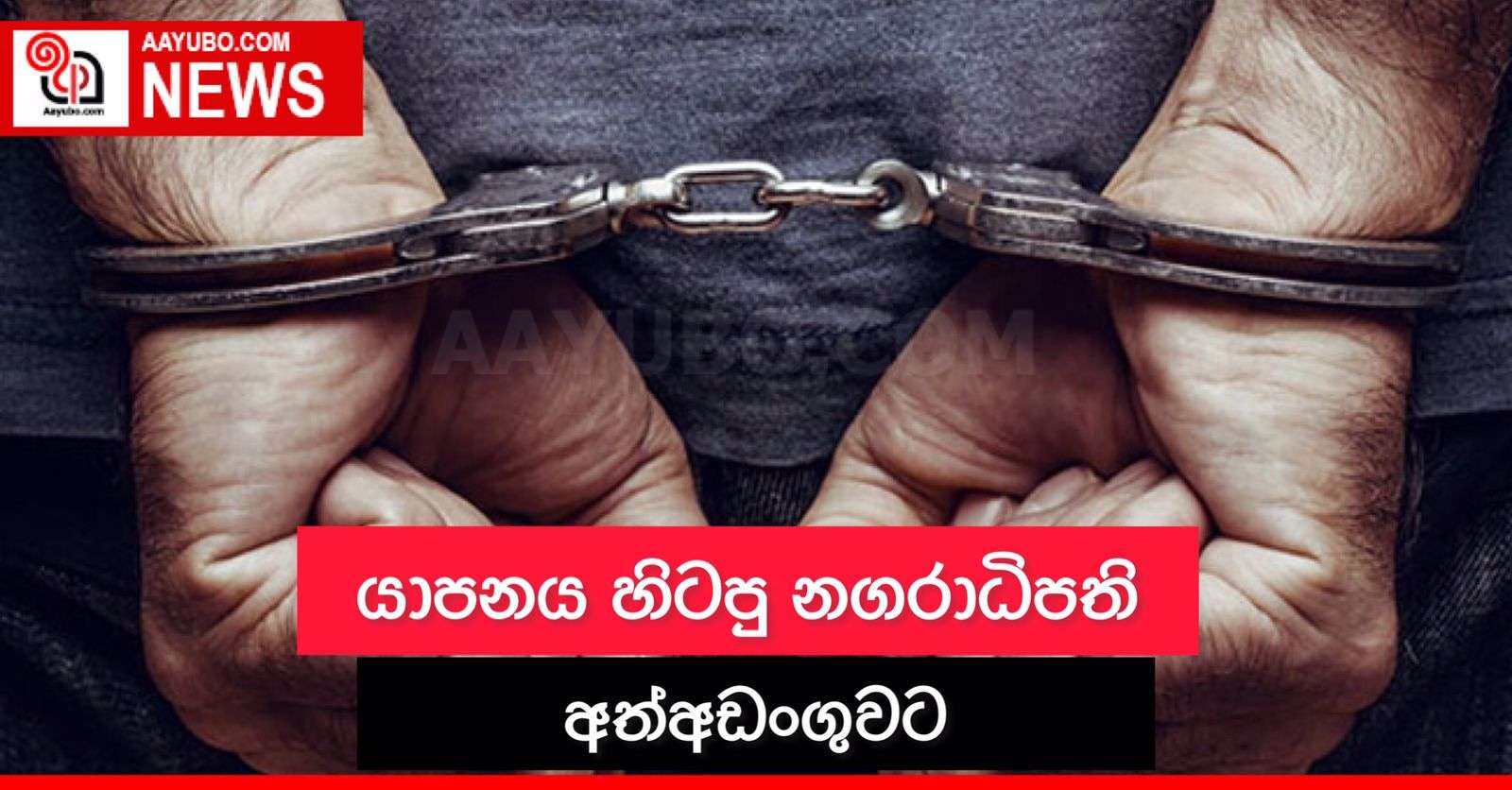 යාපනය හිටපු නගරාධිපති අත්අඩංගුවට 