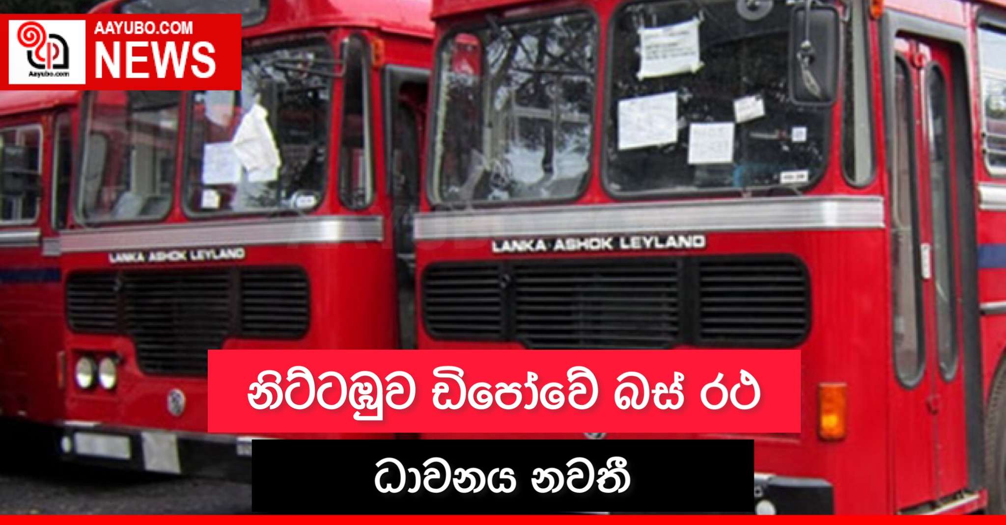 නිට්ටඹුව ඩිපෝවේ බස් රථ ධාවනය නවතී