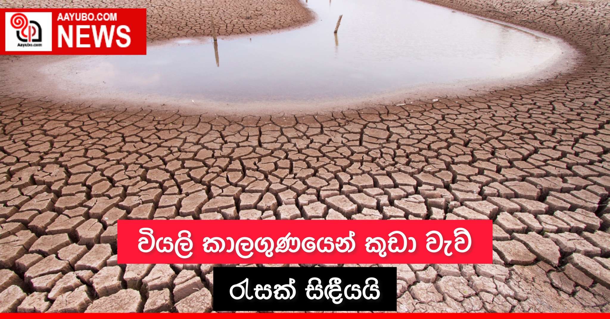 වියලි කාලගුණයෙන් කුඩා වැව් රැසක් සිඳී යයි