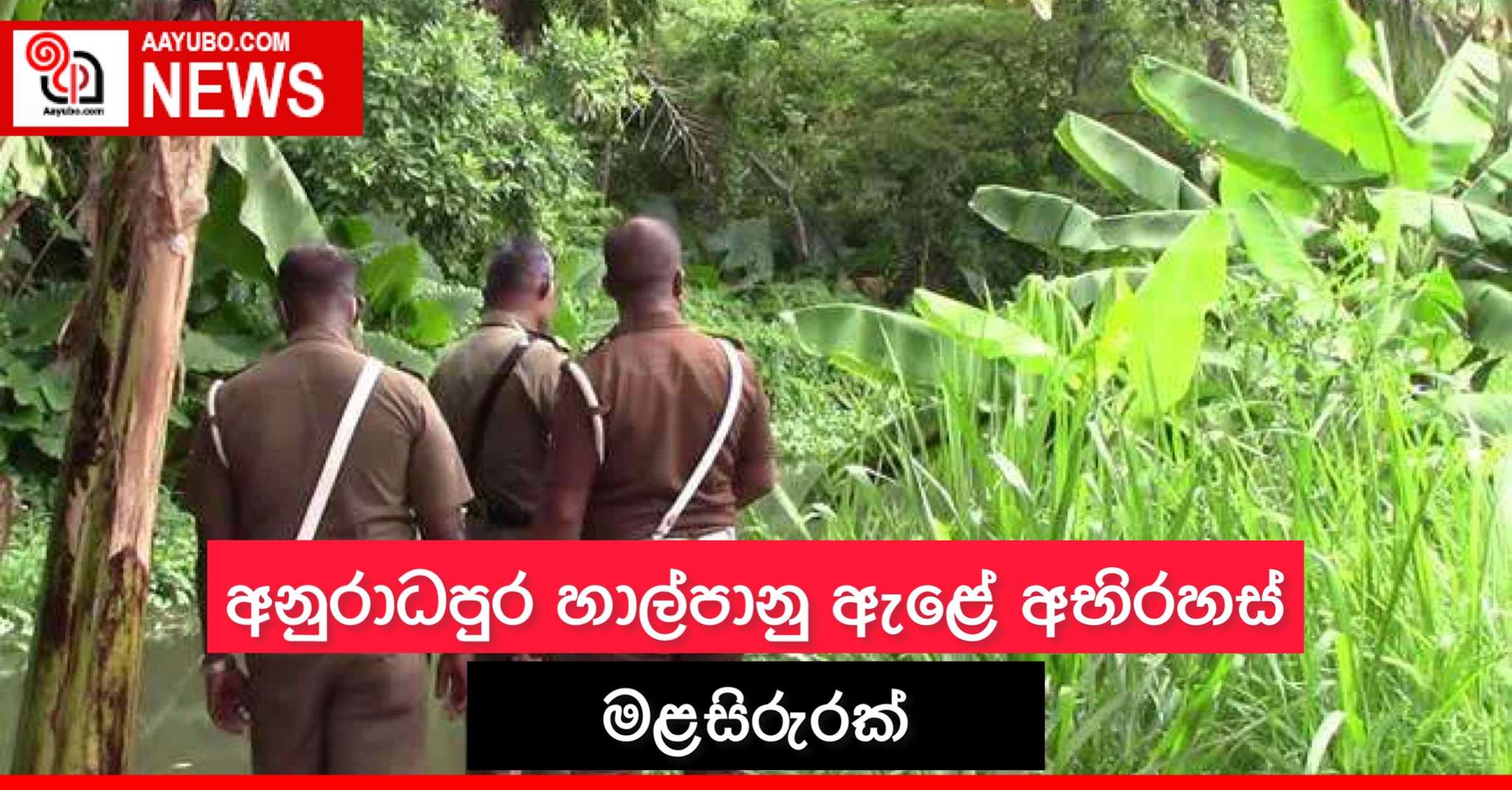 අනුරාධපුර හාල්පානු ඇළේ අභිරහස් මළ සිරුරක්