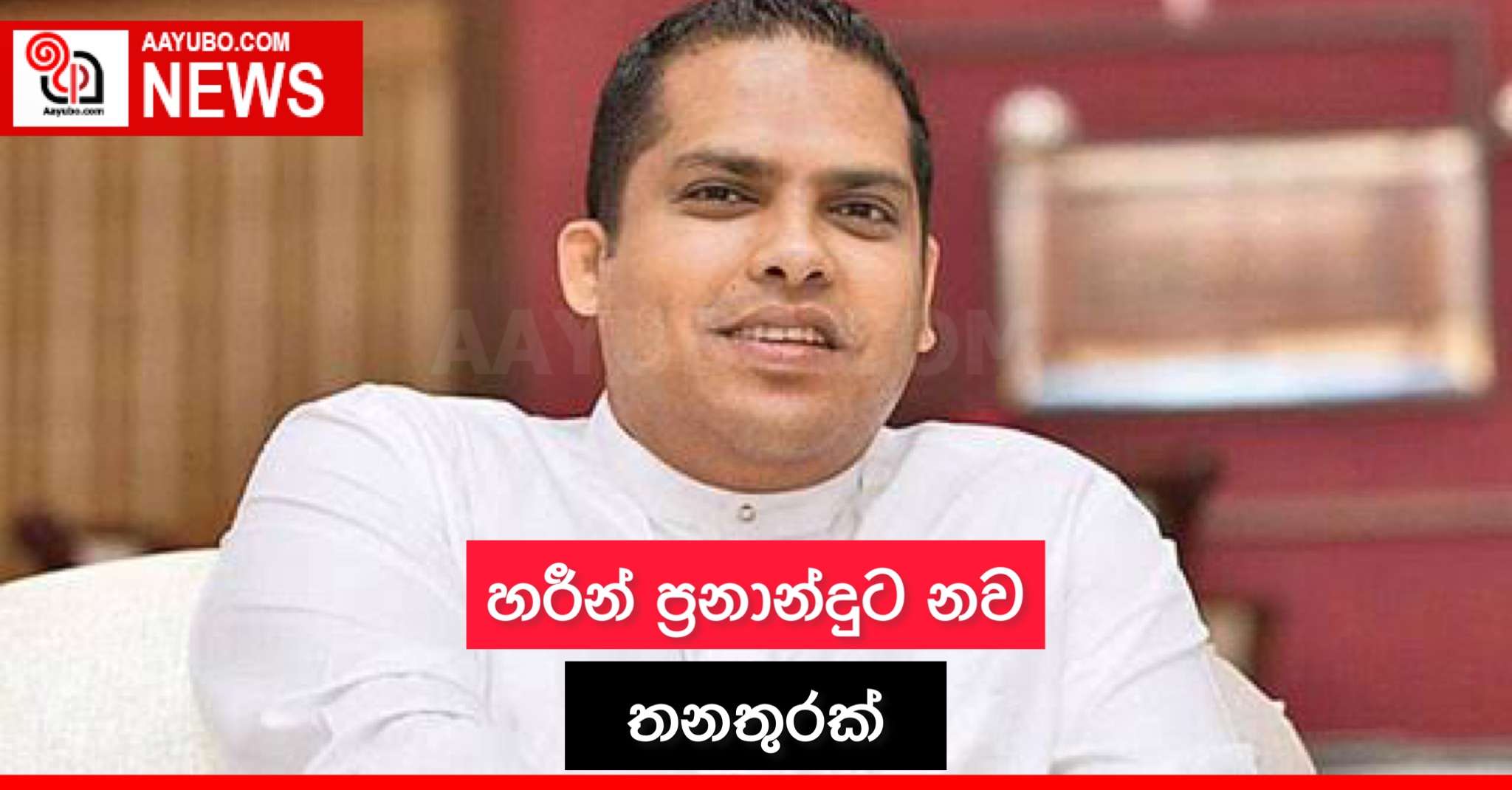 හරීන් ප්‍රනාන්දුට නව තනතුරක්