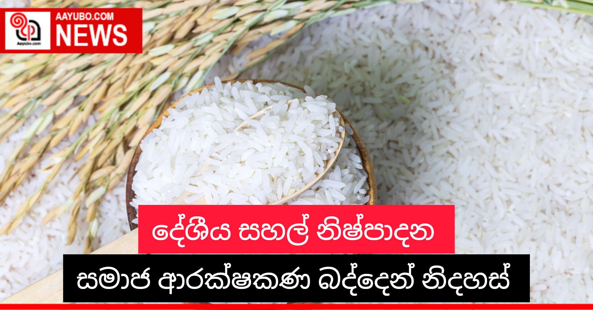 දෙශීය සහල් නිෂ්පාදන සමාජ ආරක්ෂණ බද්දෙන් නිදහස්