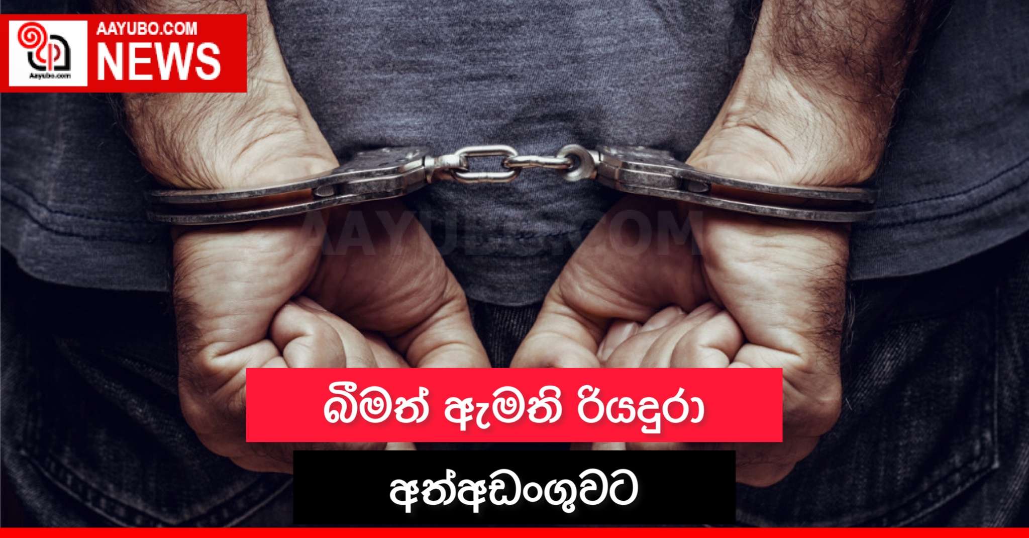 බීමත් ඇමැති රියදුරා අත්අඩංගුවට 