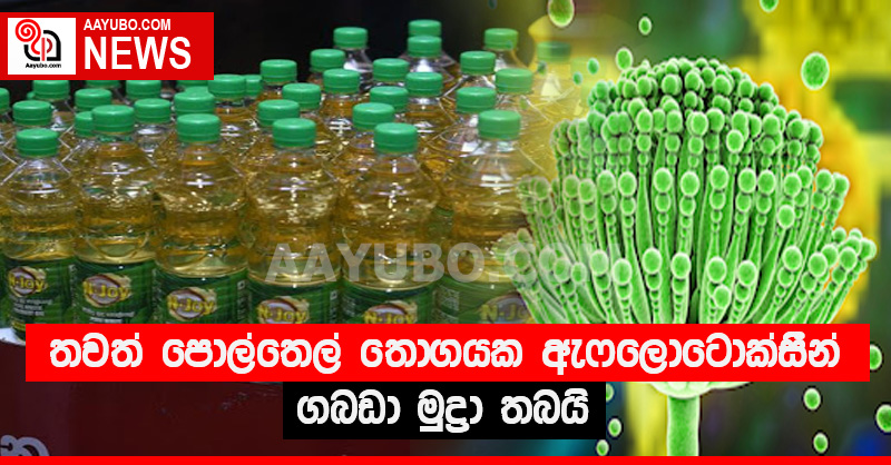තවත් පොල්තෙල් තොගයක ඇෆලොටොක්සීන් - ගබඩා මුද්‍රා තබයි