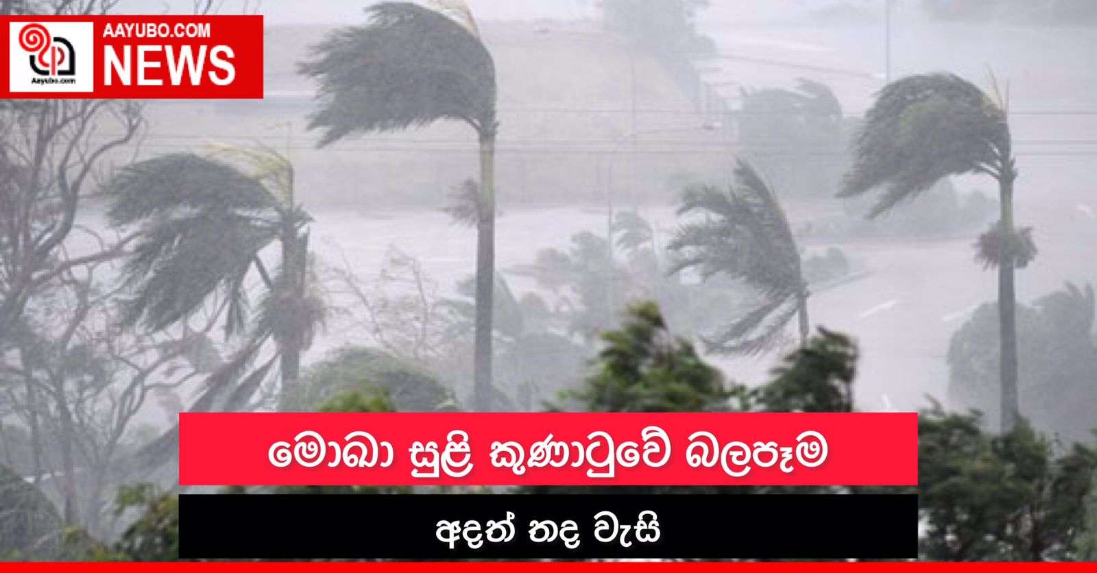 මොඛා සුළි කුණාටුවේ බලපෑම