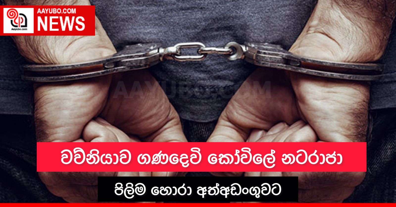 වව්නියාව ගණදෙවි කෝවිලේ නටරාජා පිලිම හොරා අත්අඩංගුවට 