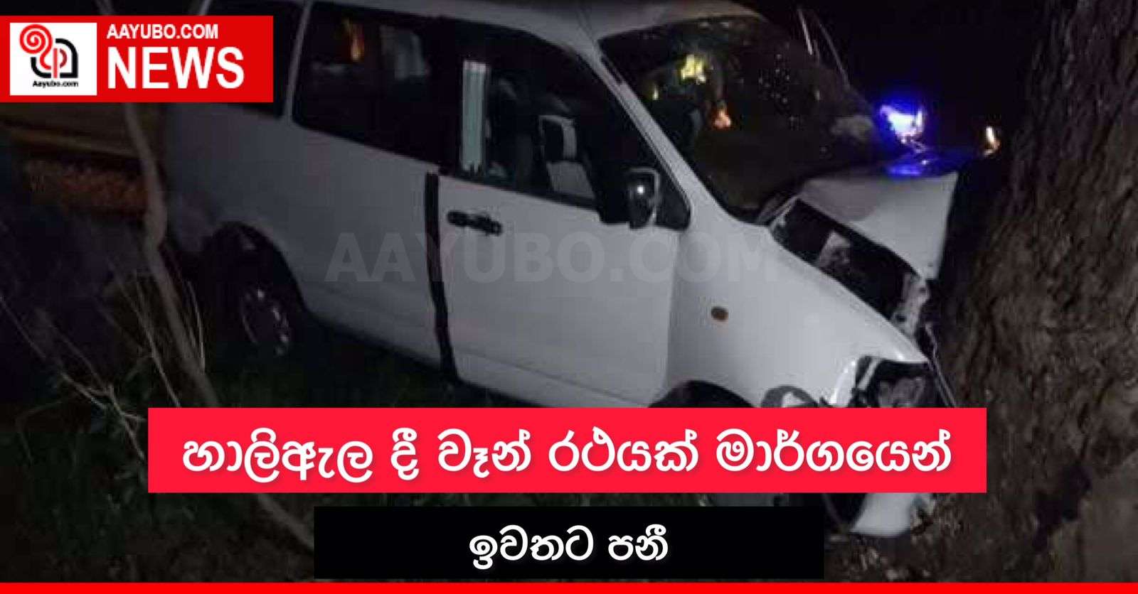 හාලිඇල දී වෑන් රථයක් මාර්ගයෙන් ඉවතට පනී