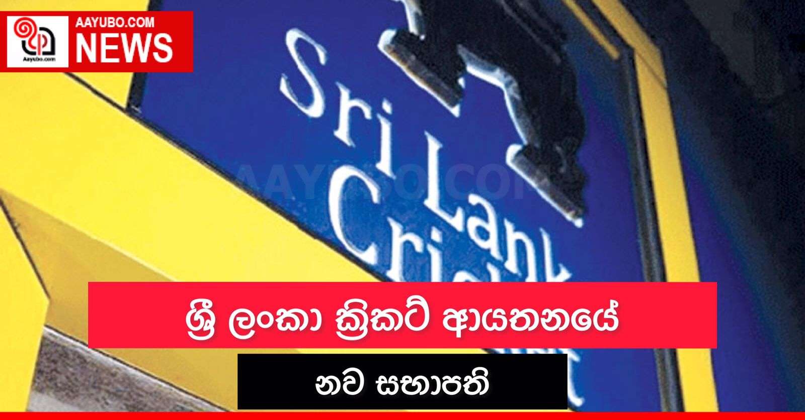 ශ්‍රී ලංකා ක්‍රිකට් ආයතනයේ නව සභාපති