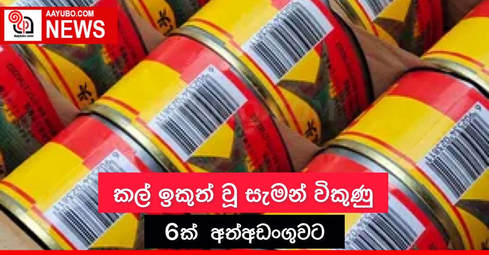කල් ඉකුත් වු සැමන් විකුණු 6ක් අත්අඩංගුවට 