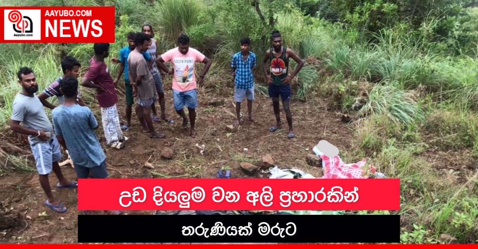 උඩ දියලුම වන අලි ප්‍රහාරයකින් තරුණියක් මරුට
