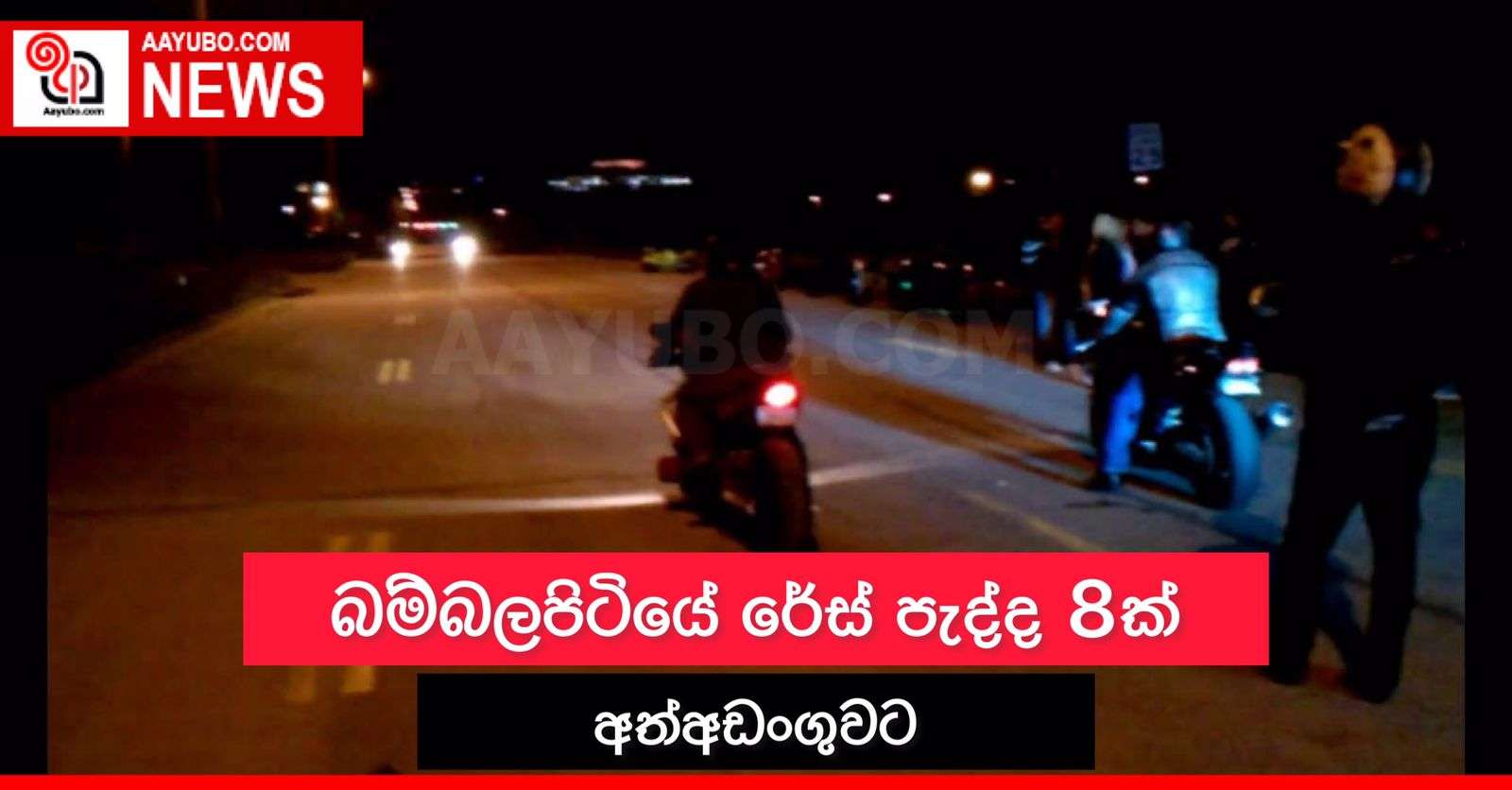 බම්බලපිටියේ රේස් පැද්ද 8ක් අත්අඩංගුවට
