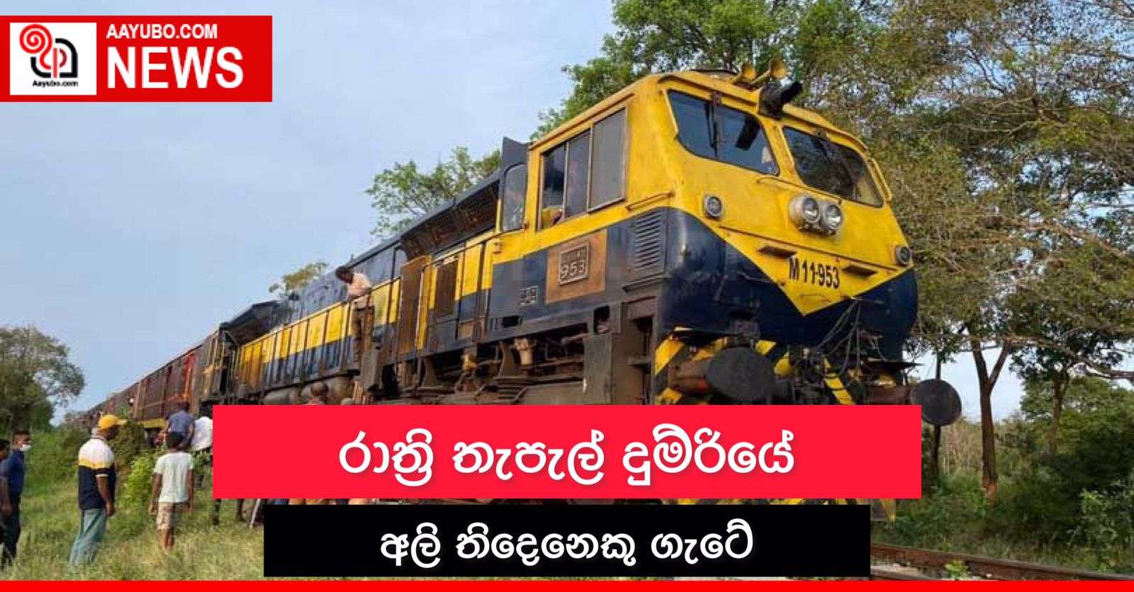රාත්‍රි තැපැල් දුම්රියේ අලි තිදෙනෙකු ගැටේ