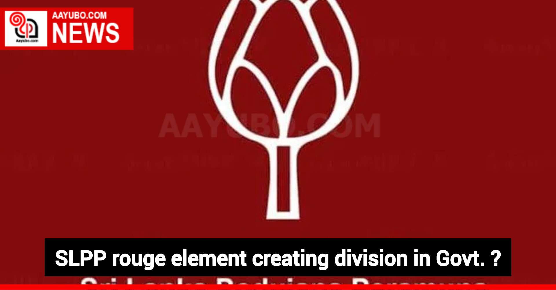 SLPP rouge element creating division in Govt. ?