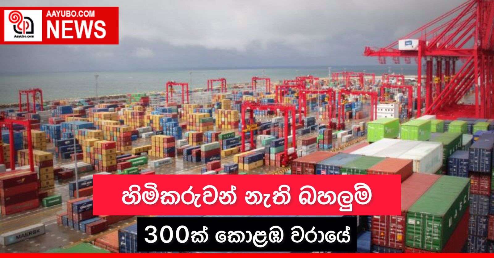 හිමිකරුවන් නැති බහලුම් 300ක් කොළඹ වරායේ