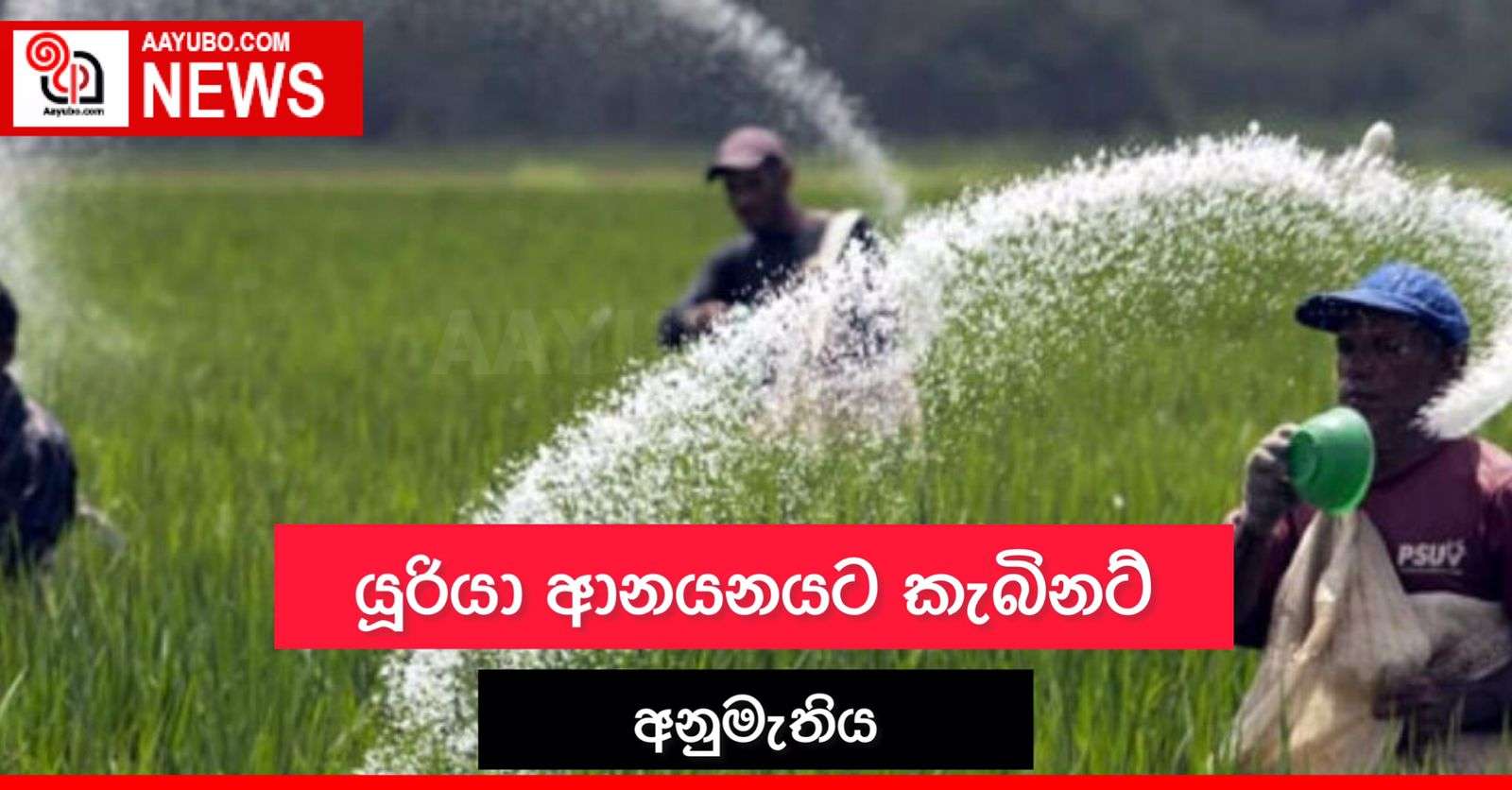 යූරියා ආනයනයට කැබිනට් අනුමැතිය