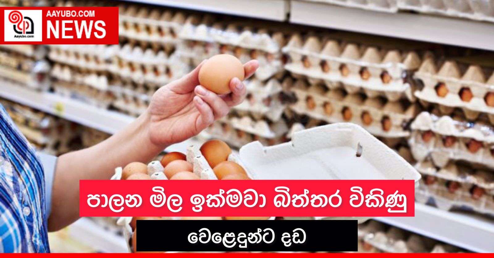පාලන මිල ඉක්මවා බිත්තර විකිණු වෙළඳුන්ට දඩ  