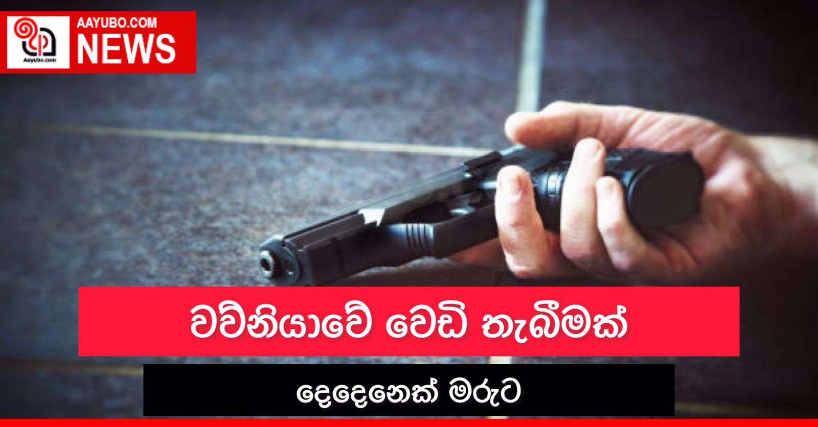 වව්නියාවේ වෙඩි තැබීමක්