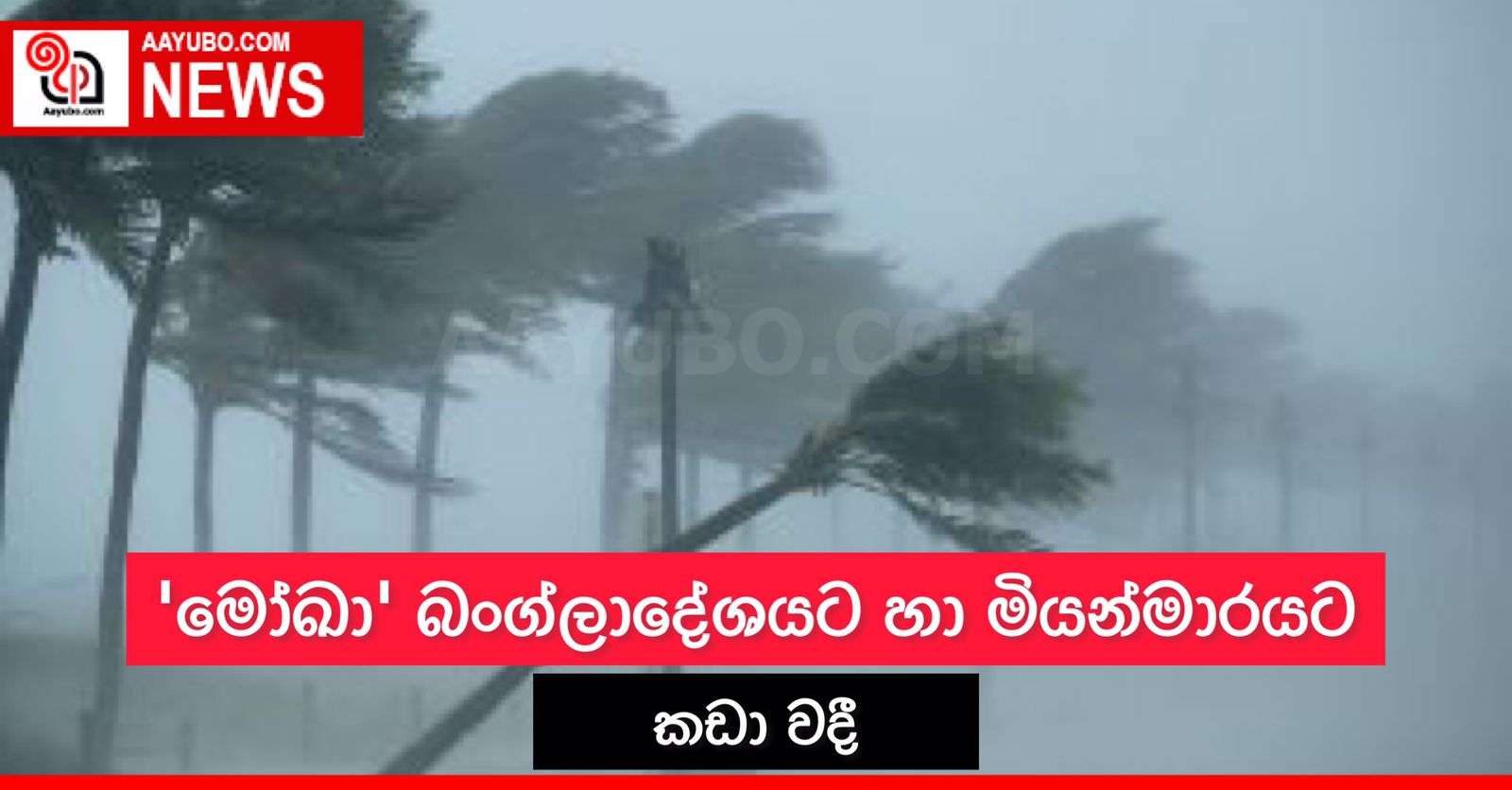 'මෝඛා' බංග්ලාදේශයට හා මියන්මාරය කඩා වදී