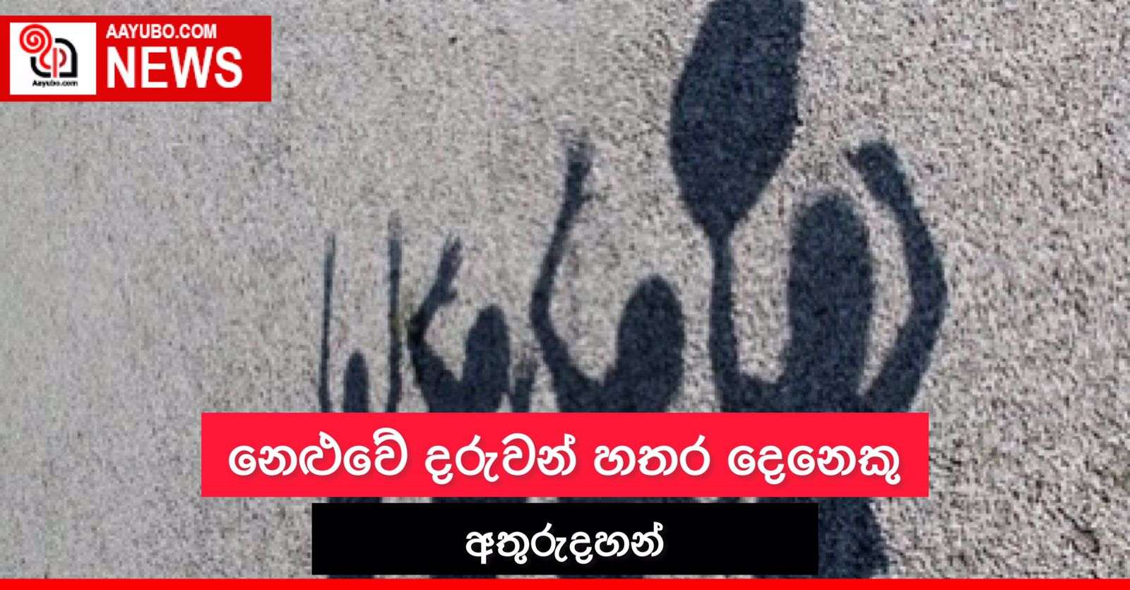 නෙළුවේ දරුවෝ හතර දෙනෙක් අතරුදහන්