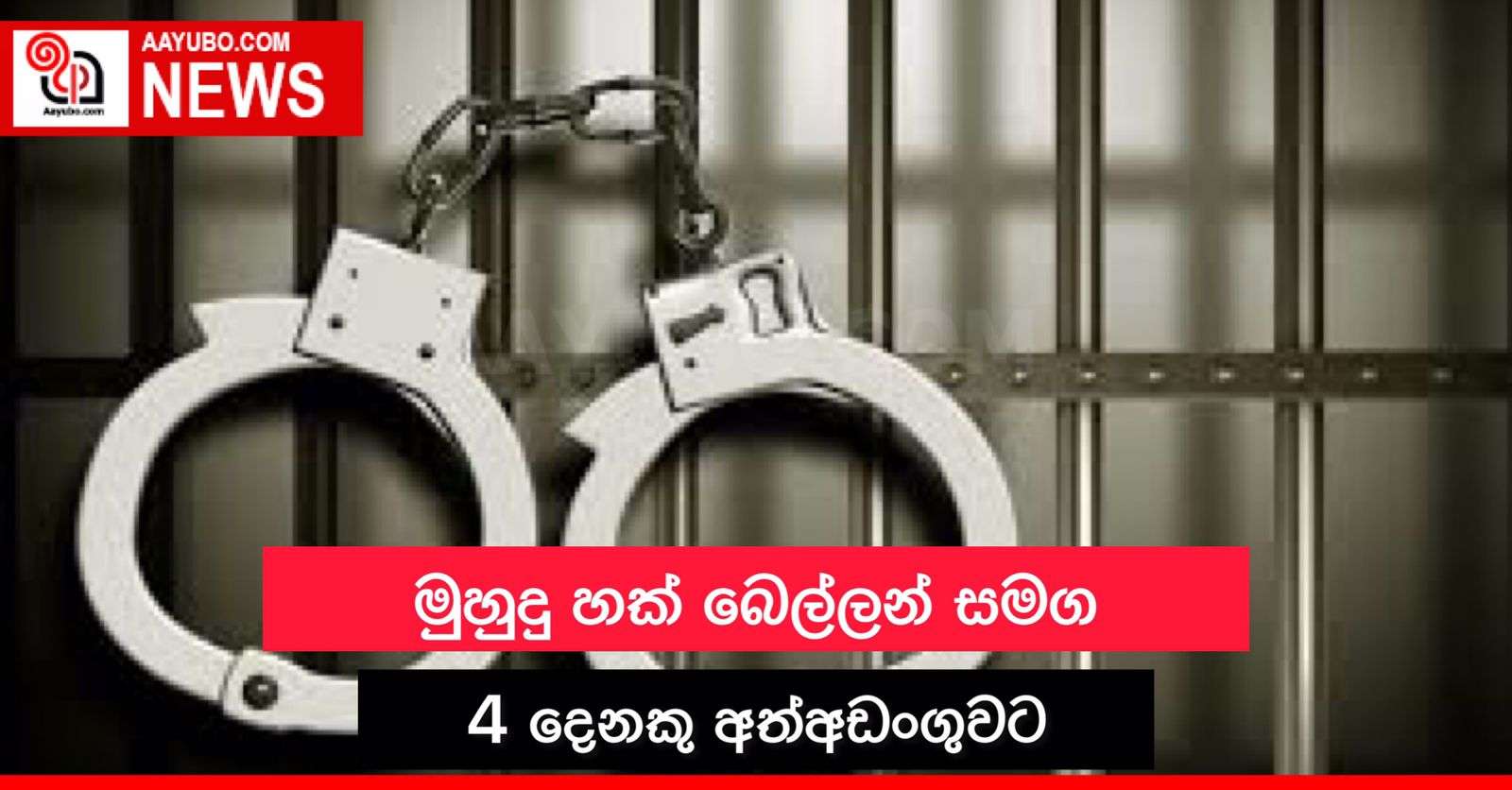 මුහුදු හක් බෙල්ලන් සමග 4 දෙනෙකු අත්අඩංගුවට