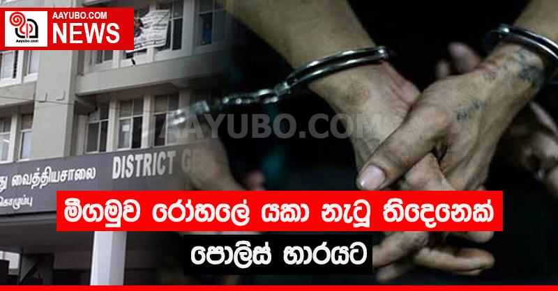 මීගමුව රෝහලේ යකා නැටූ තිදෙනෙක් පොලිස් භාරයට