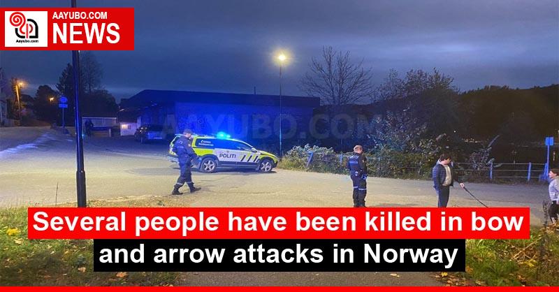 Several people have been killed in bow and arrow attacks in Norway