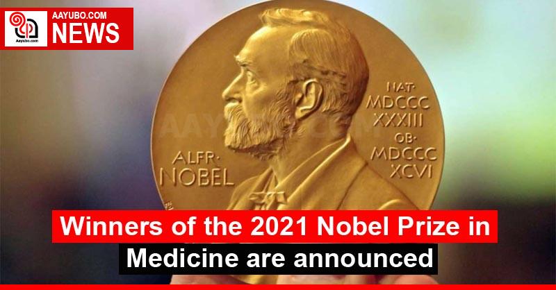 Winners of the 2021 Nobel Prize in Medicine are announced