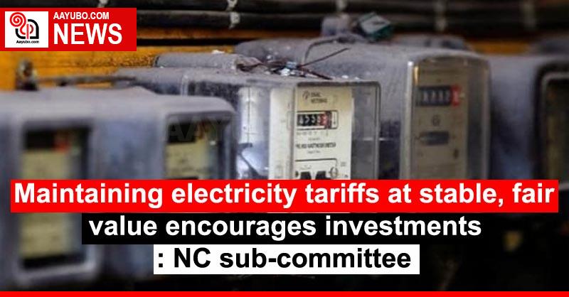 Maintaining electricity tariffs at stable, fair value encourages investments: NC sub-committee