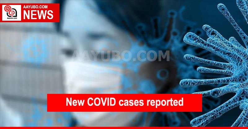 1320 new cases of coronavirus identified 