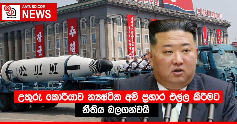 උතුරු කොරියාව න්‍යෂ්ටික අවි ප්‍රහාර එල්ල කිරීමට නීතිය බලගන්වයි