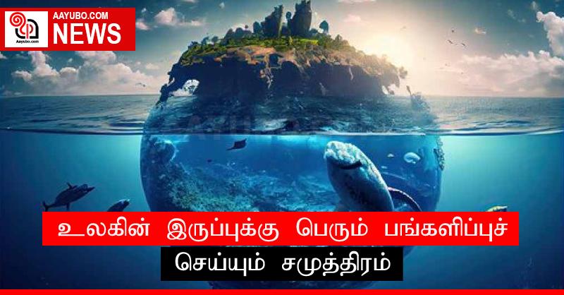 உலகின் இருப்புக்கு பெரும் பங்களிப்புச் செய்யும் சமுத்திரம்
