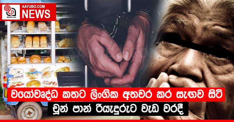වයෝවෘද්ධ කතට ලිංගික අතවර කර සැඟව සිටි චූන් පාන් රියැදුරුට වැඩ වරදී