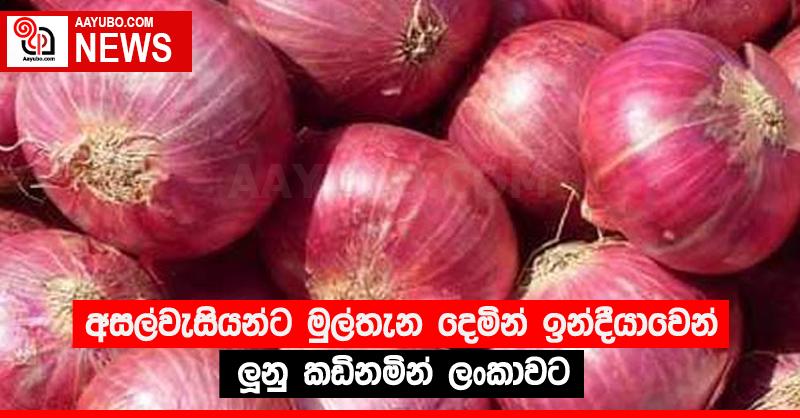 අසල්වැසියන්ට මුල්තැන දෙමින් ඉන්දීයාවෙන් ලූනු කඩිනමින් ලංකාවට