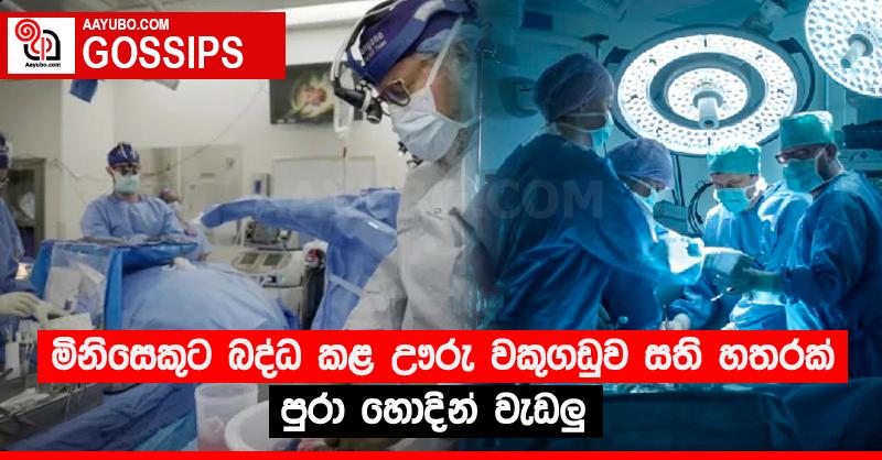 මිනිසෙකුට බද්ධ කළ ඌරු වකුගඩුව සති හතරක් පුරා හොදින් වැඩලු‍