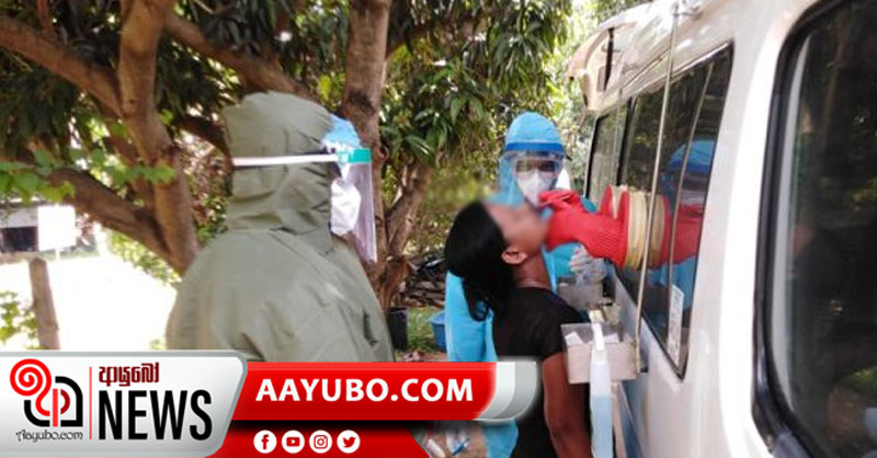 නාඋල 15ක් PCR කරයි