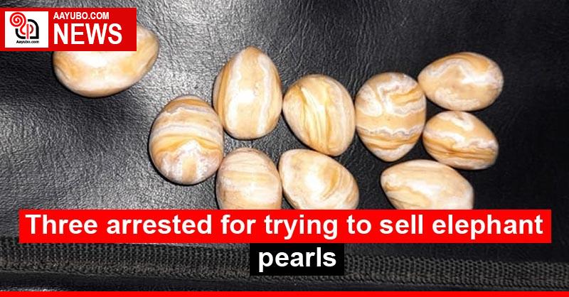 Three arrested for trying to sell elephant pearls