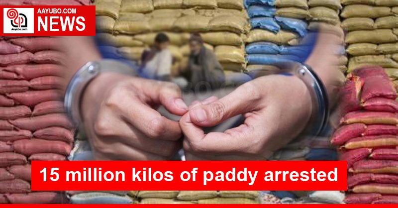 15 million kilos of paddy arrested