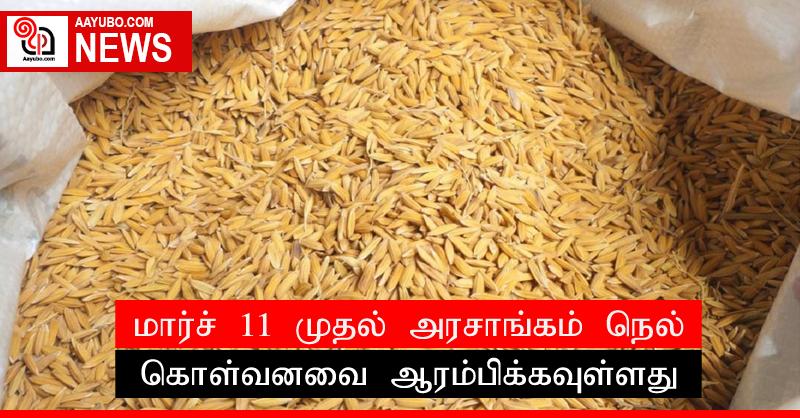மார்ச் 11 முதல் அரசாங்கம் நெல் கொள்வனவை ஆரம்பிக்கவுள்ளது