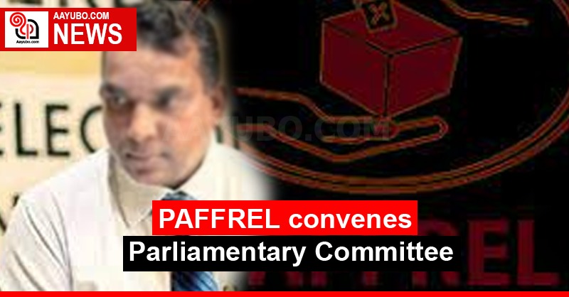 PAFFREL convenes Parliamentary Committee