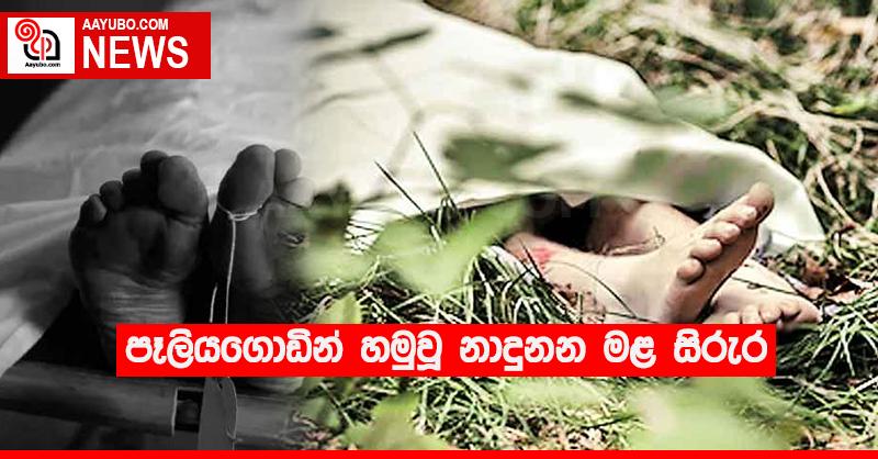 පෑලියගොඩින් හමුවූ නාඳුනන මළ සිරුර