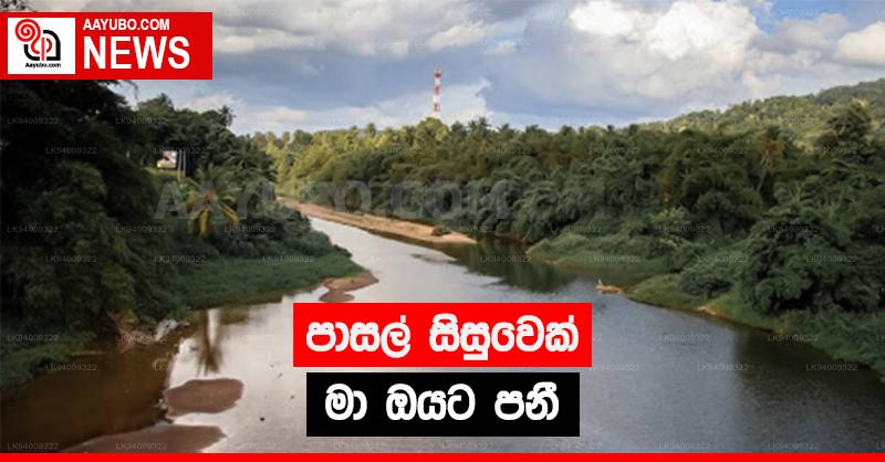 පාසල් සිසුවෙක් මාඔයට පනී