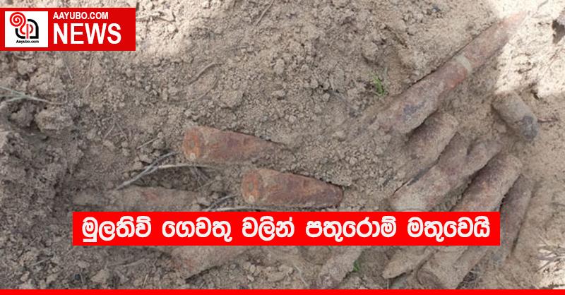 මුලතිව් ගෙවතු වලින් පතුරොම් මතුවෙයි