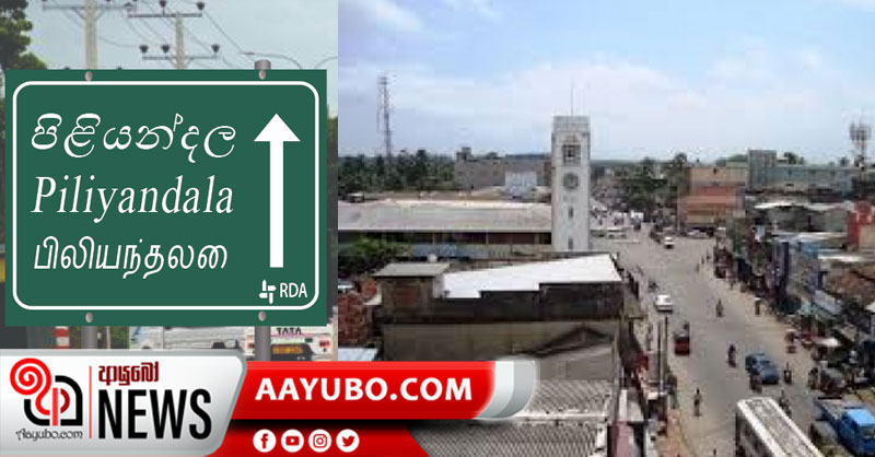මාළු වෙලෙන්දෙකුට කොරෝනා බව තහවුරුයි - පිලියන්දල ගමක් අවදානමේ !