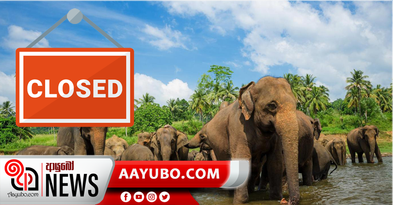 පින්නවල අලිඅනාථාගාරය වසා දැමෙයි