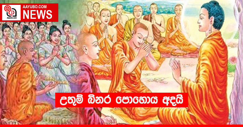 උතුම් බිනර පොහොය අදයි