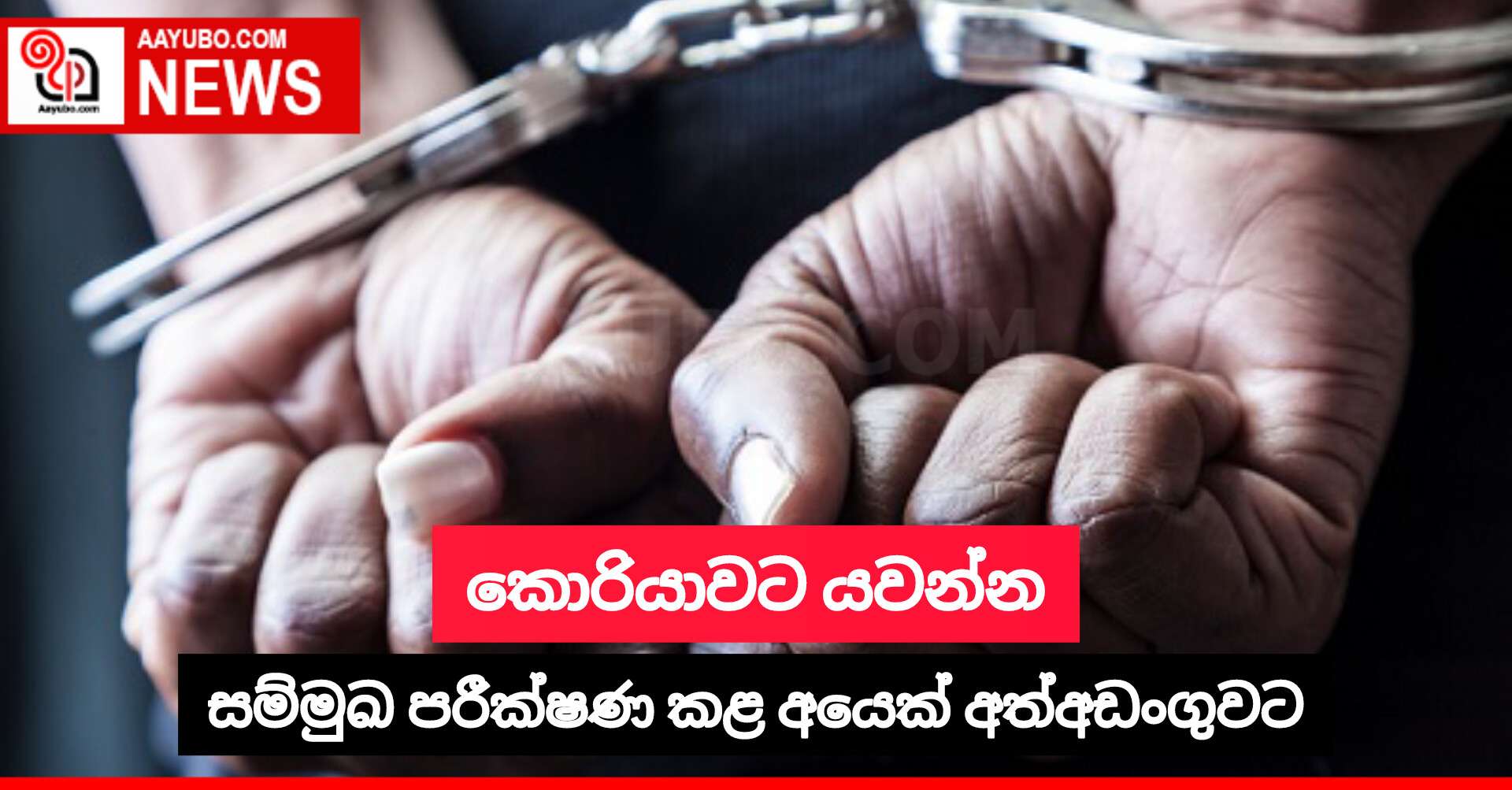 කොරියාවට යවන්න සම්මුඛ පරීක්ෂණ කළ අයෙක් අත්අඩංගුවට