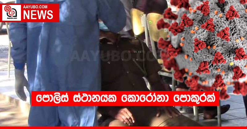 පොලිස් ස්ථානයක කොරෝනා පොකුරක්